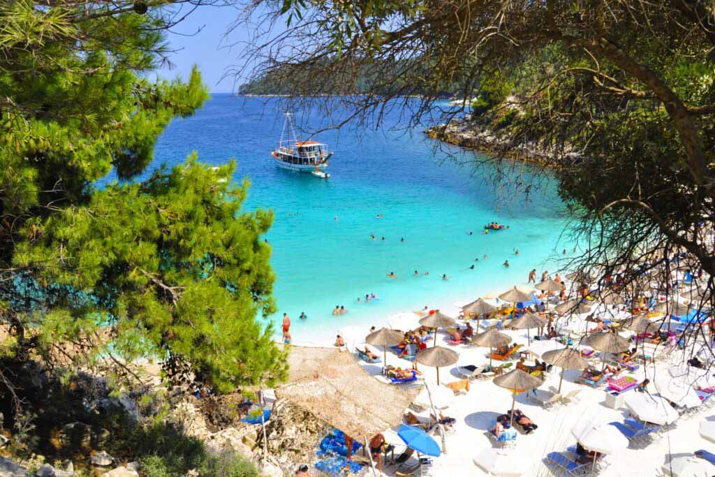 thasos-seo